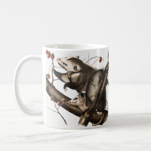 Virginia Opossum Didelphis Virginia Illustration Kaffeetasse