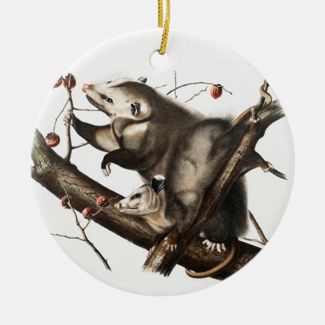 Virginia Opossum Didelphis Virginia Illustration Keramik Ornament (Vorne)