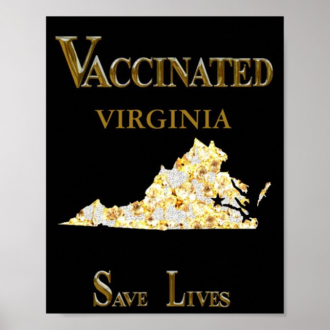 VIRGINIA POSTER (Vorne)