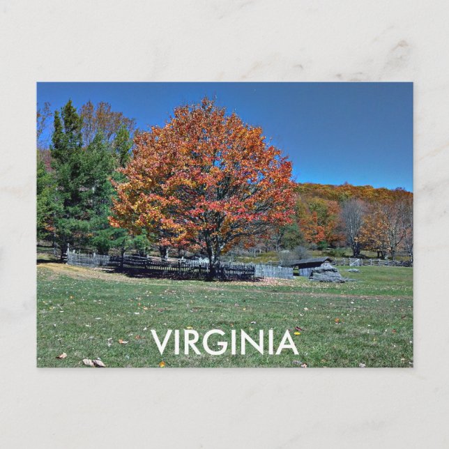 VIRGINIA POSTKARTE (Vorderseite)