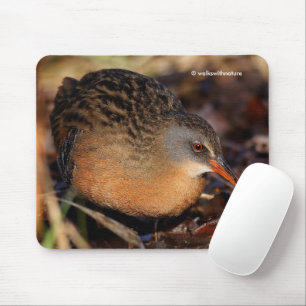 Virginia Rail Waterbird im Unterbüro Mousepad