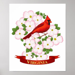 Virginia Staat Kardinal Bird und Dogwood Blume Poster