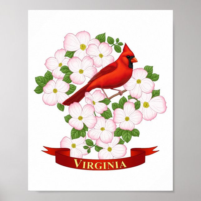 Virginia Staat Kardinal Bird und Dogwood Blume Poster (Vorne)