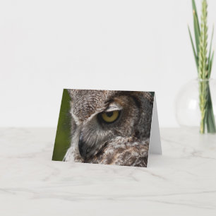 Virginia-Uhu (Bubo virginianus) notecard Karte