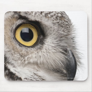 Virginia-Uhu - Bubo Virginianus Subarcticus Mousepad