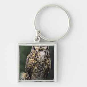 Virginia-Uhu (Bubo virginianus), Vollkörper Schlüsselanhänger