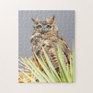 Virginia-Uhu Greifvogel Puzzle