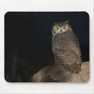Virginia-Uhu im Hinterhof Mousepad