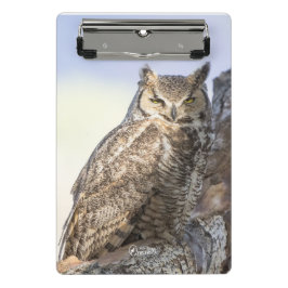 Virginia-Uhu - Sie betrachtend Miniklemmbrett Mini Klemmbrett