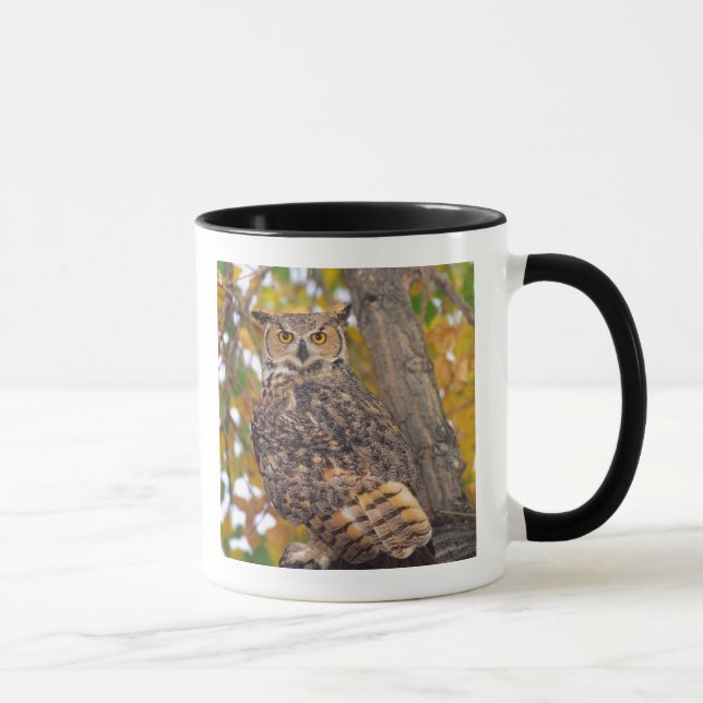 Virginia-Uhu Tasse (Rechts)