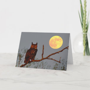 Virginia-Uhu   Vollmond Karte