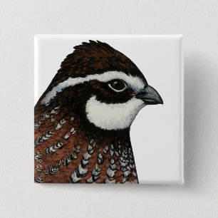 Virginiawachtel-Kopf Button