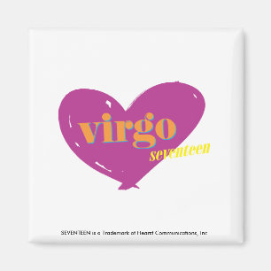 Virgo 2 magnet