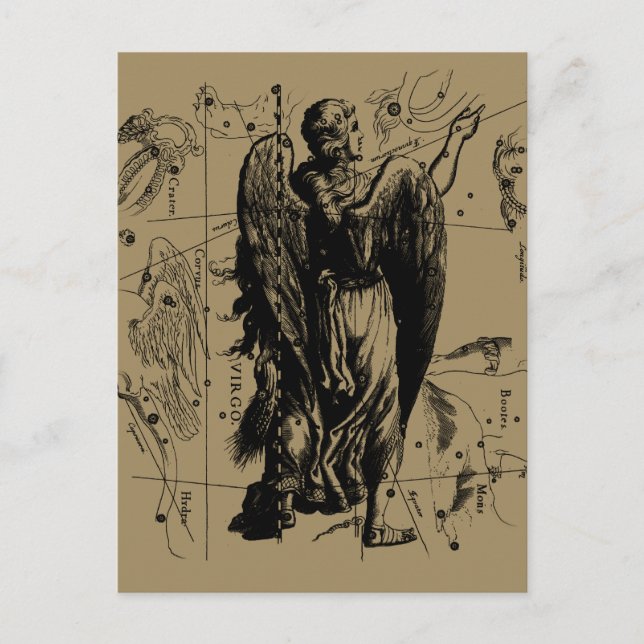 Virgo Constellation Hevelius Etching Style Postkarte (Vorderseite)