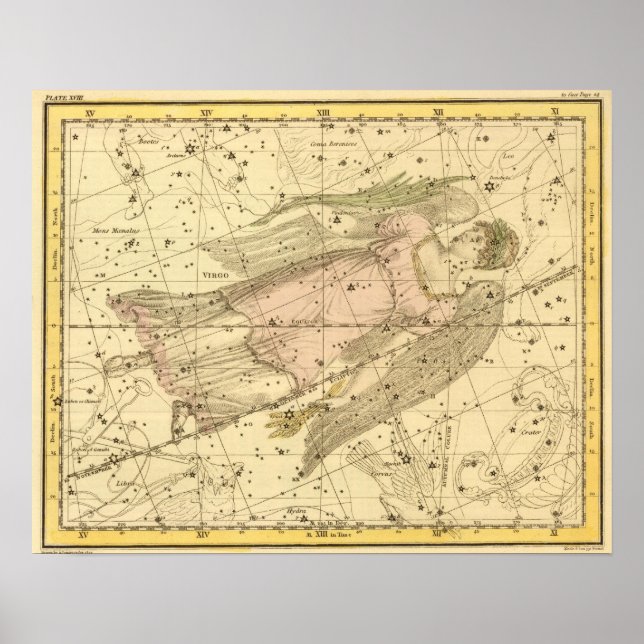 Virgo Poster (Vorne)