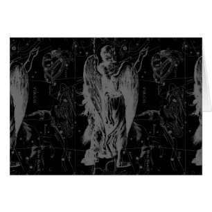 Virgo Zodiac Constellation Hevelius 1690