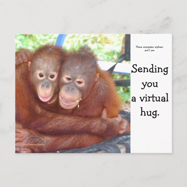 Virtual Hug Postkarte (Vorderseite)