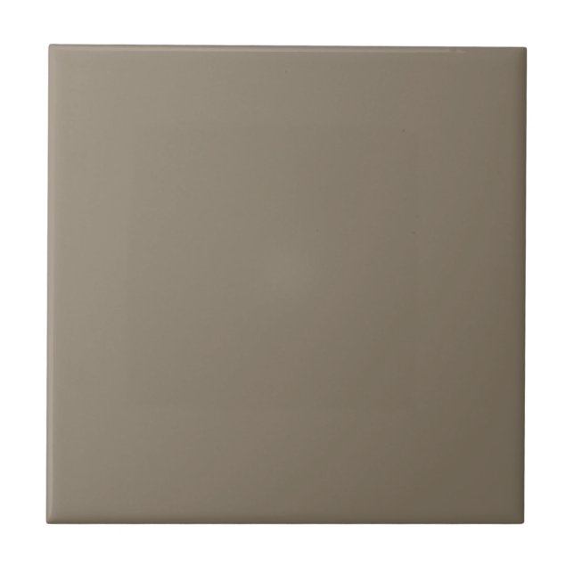 Virtually Taupe Square Küche und Bad  Fliese (Vorderseite)