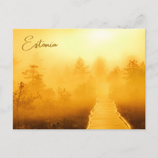 Viru Bog Golden Sunrise Postkarte