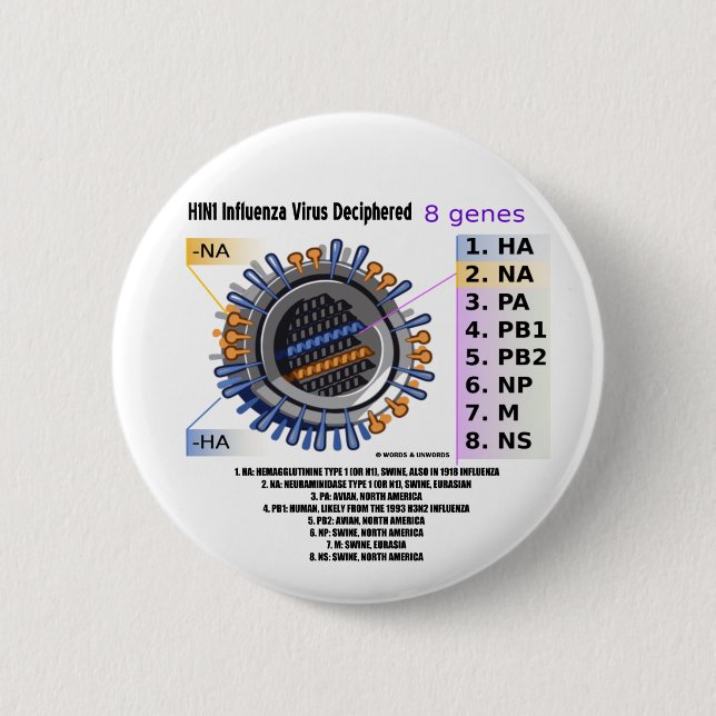 Virus der Grippe-H1N1 dechiffroren (Gesundheit) Button (Vorderseite)