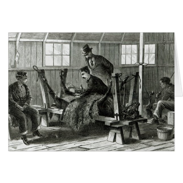 Virusentnahme aus dem Kalb (Vorderseite (Horizontal))