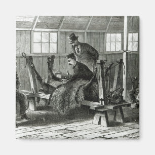 Virusentnahme aus dem Kalb Magnet