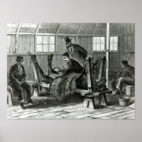 Virusentnahme aus dem Kalb