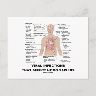 Virusinfektionen, die den Homo Sapiens betreffen Postkarte