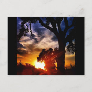 Visalia Sunset Postcard Postkarte