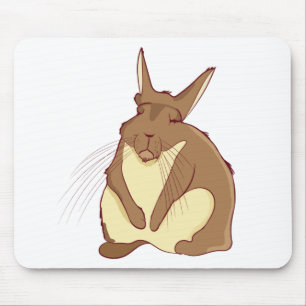 Viscacha Vizcacha Niedliches Gebirge Lazy Sleepy Mousepad