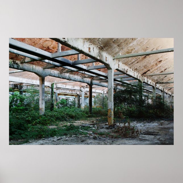 Viscosa 6 poster (Vorne)