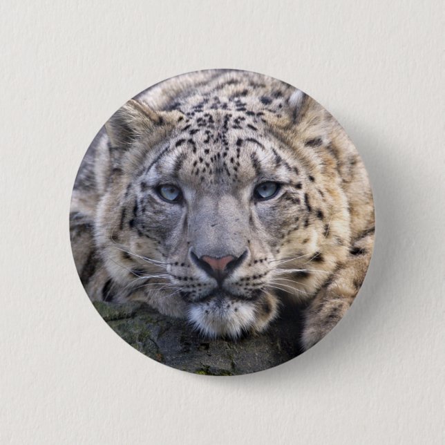 Vishnu Schnee-Leopard-Abzeichen Button (Vorderseite)