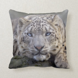 Vishnu Schnee-Leopard-Kissen Kissen