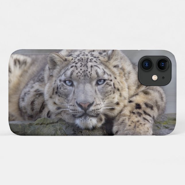 Vishnu Snow Leopard iPhone 11 Fall Case-Mate iPhone Hülle (Rückseite (Horizontal))