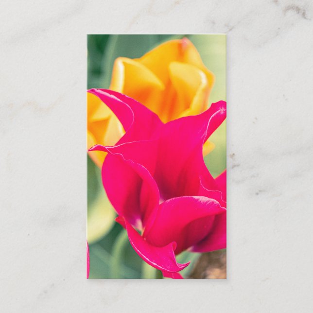 Visitenkarte (Vorderseite)