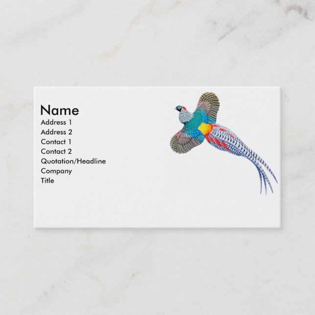 Visitenkarte Damen-Amherst Pheasant (Vorderseite)
