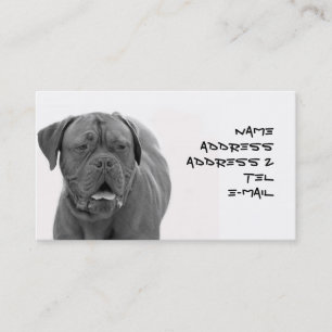 Visitenkarte Dogue de Bordeaux