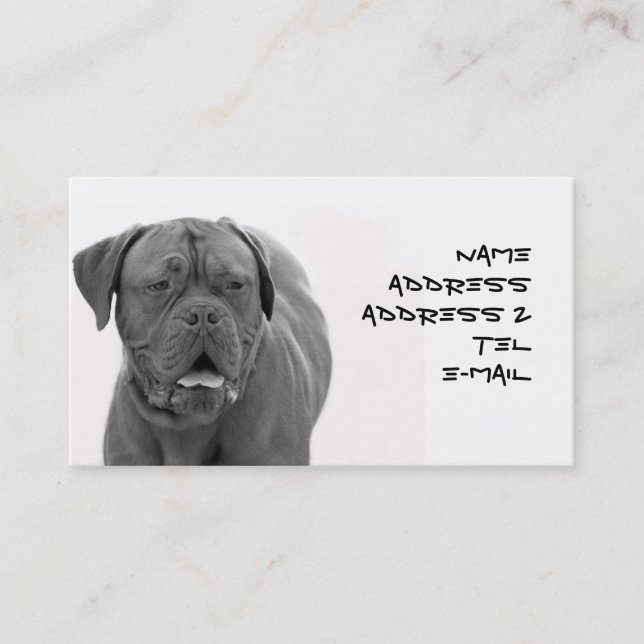 Visitenkarte Dogue de Bordeaux (Vorderseite)