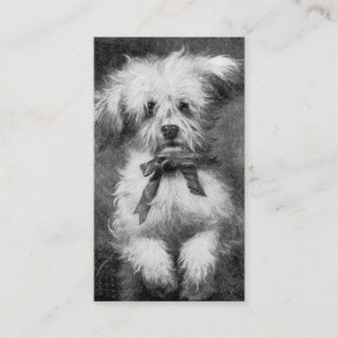 Visitenkarte Fluffiger Hund