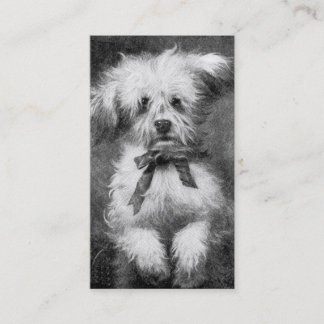 Visitenkarte Fluffiger Hund