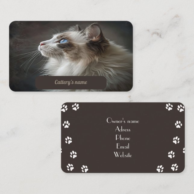 Visitenkarte für Cattery Ragdoll (Vorne/Hinten)