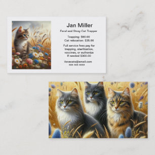 Visitenkarte für TNR-Kolonie wilder Katzen
