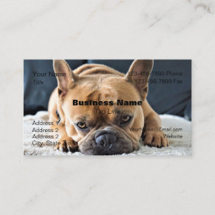 Visitenkarte mit Französische Bulldogge- HAMbyWG