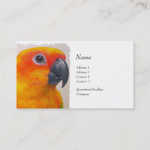 Visitenkarte - Sun Conure