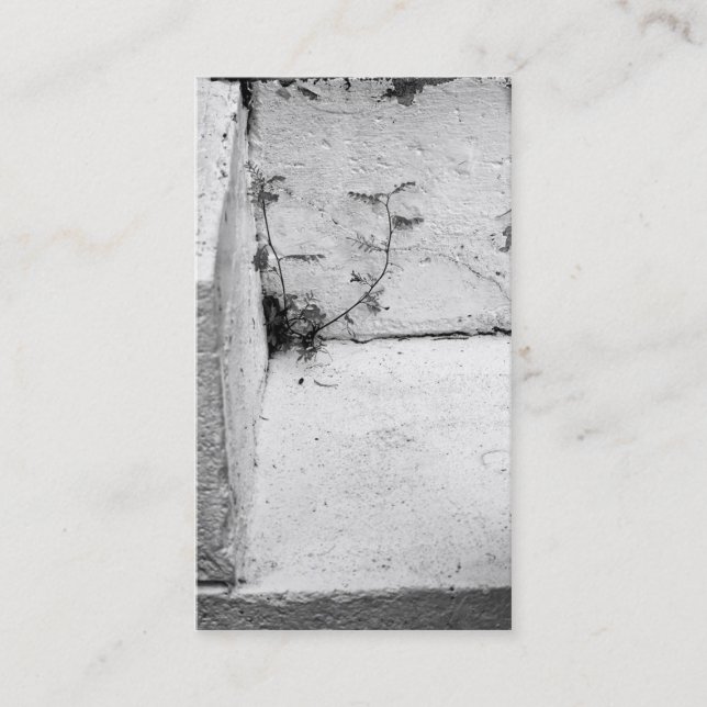 Visitenkarte "Unkraut auf Beton-Stufen" (Vorderseite)
