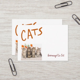 Visitenkarten für Geschäftskarten, immer häufiger  Visitenkarte