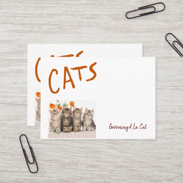 Visitenkarten für Geschäftskarten, immer häufiger  Visitenkarte (Vorderseite/Rückseite Beispiel)