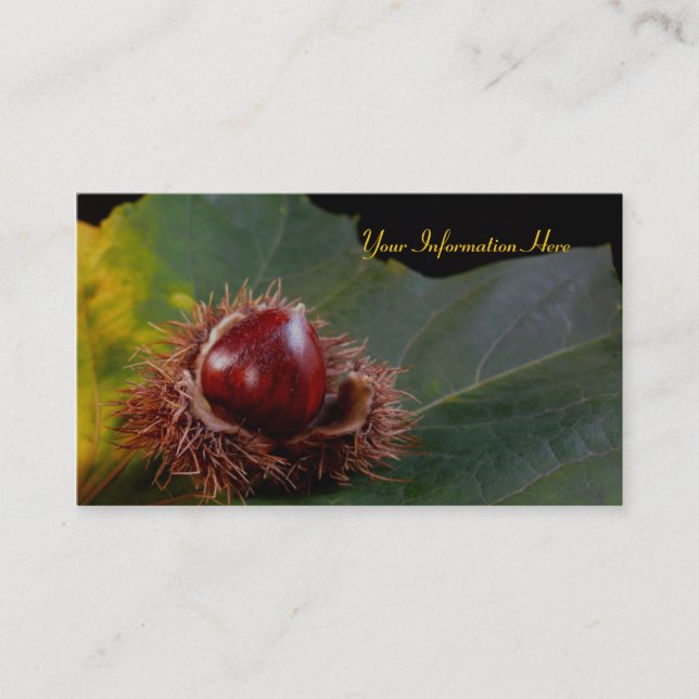 Visitenkarten für Herbstleaf und Nut Visitenkarte (Vorderseite)