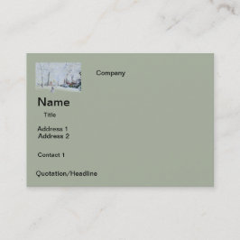 Visitenkarten SCHNEE-ENTWURF Visitenkarte