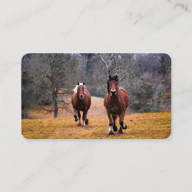 Visitenkarten Visitenkarte (Vorderseite)